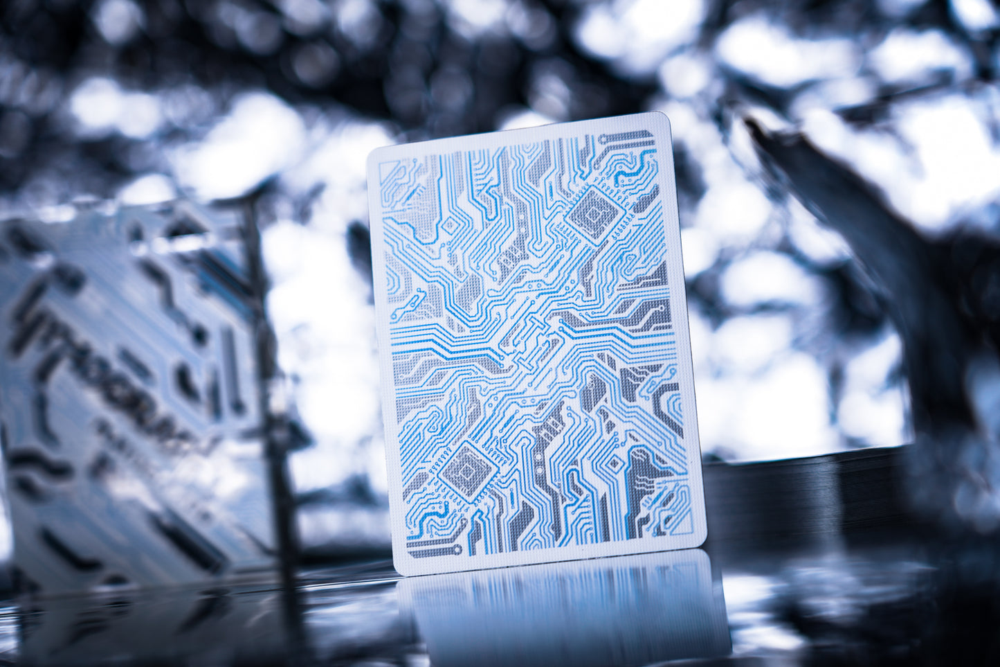 Lithography Playing Cards by TCC Fashion