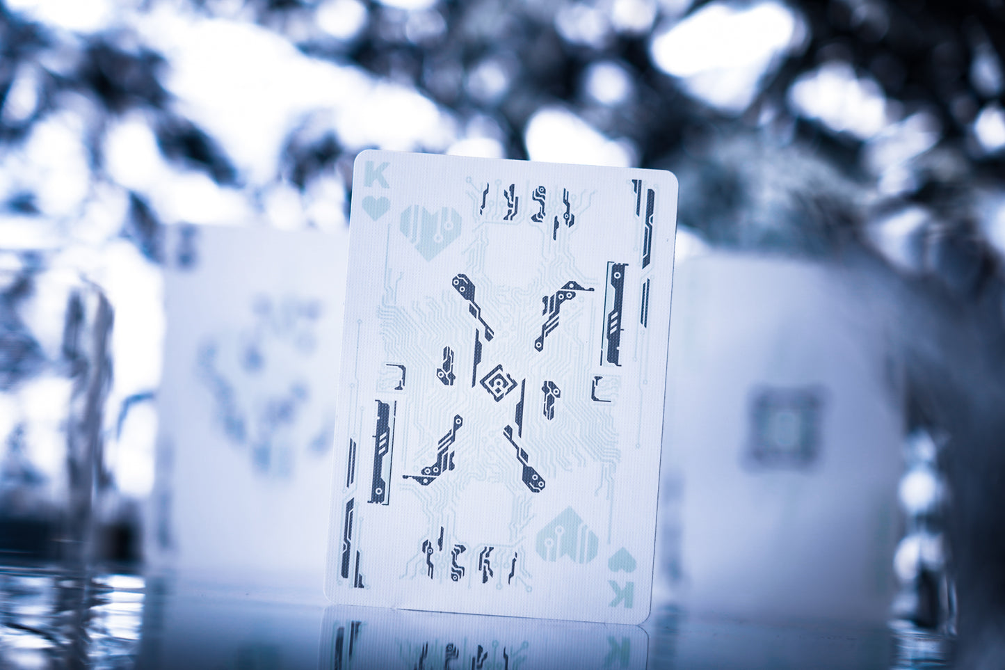 Lithography Playing Cards by TCC Fashion