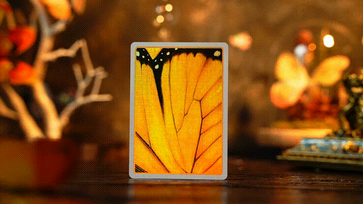 Amber Golden Morpho Playing Cards by TCC Fashion