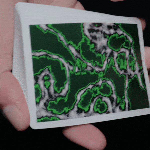 Fractal Acid/Carmine Playing Cards by Missing