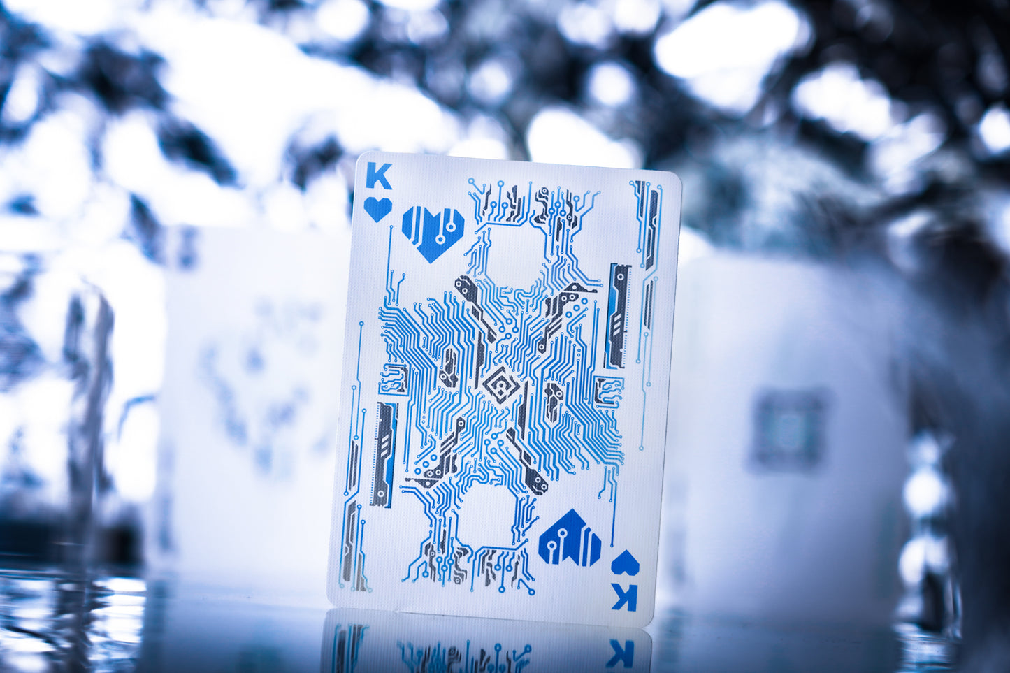 Lithography Playing Cards by TCC Fashion