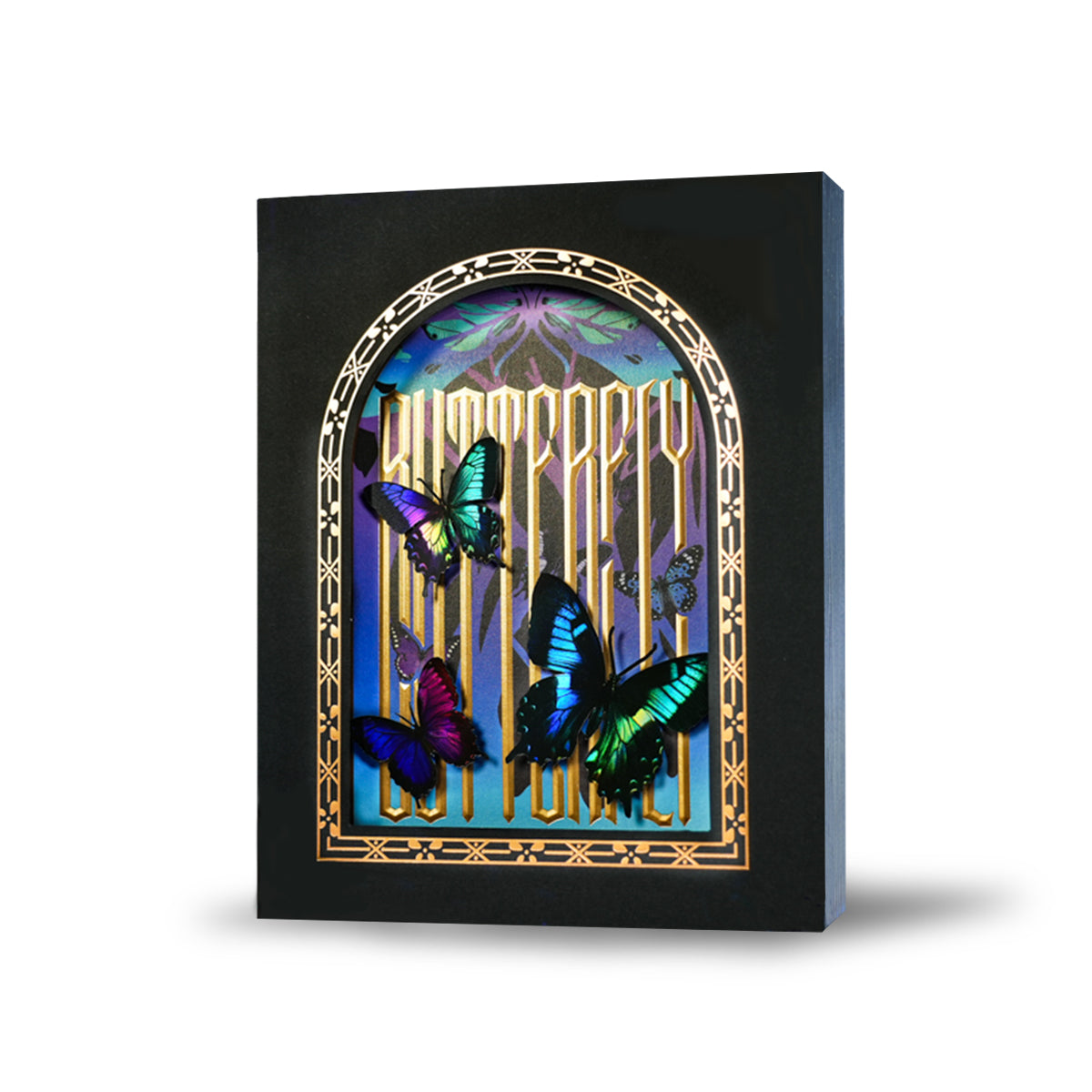 Morpho Collection Box Set by TCC Fashion