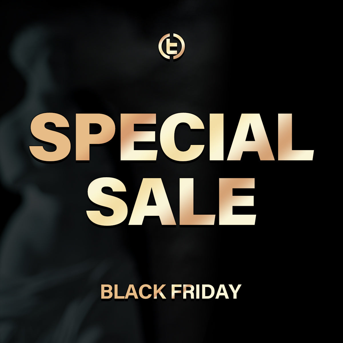 Black Friday Special Sale